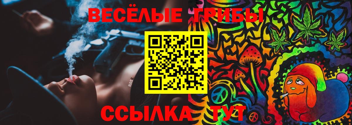 Псилоцибиновые грибы Psilocybine cubensis  Вход с VPN  купить  цена  Ухта  Галлюциногенные грибы мицелий 